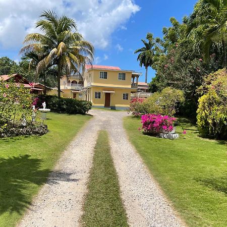 Little Shaw Park Guest House Очо-Риос Экстерьер фото